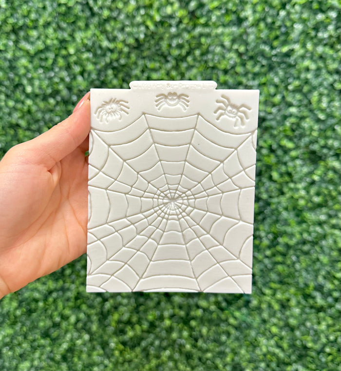 Spiders and Web Mold