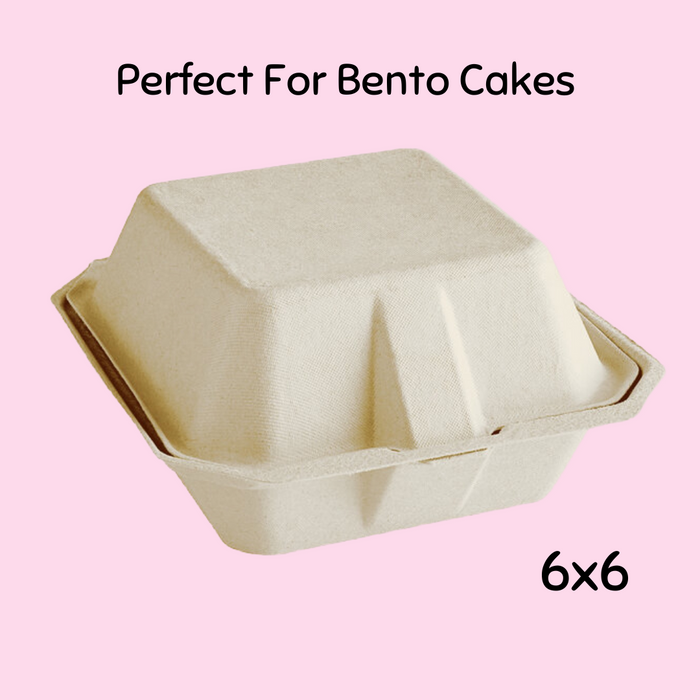 10pk Bento Cake Boxes